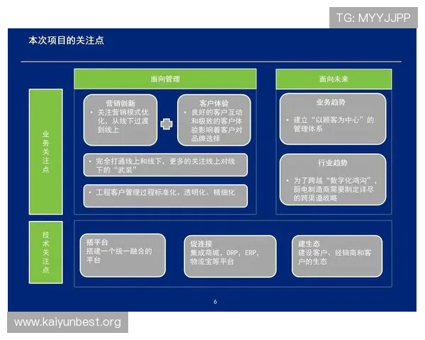 开云集团与消费者之间的关系：品牌忠诚度的形成与维护
